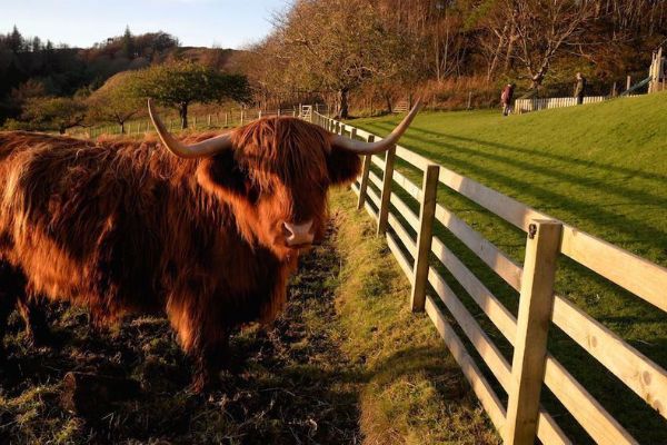 Loch Melfort Hotel (Argyll and Bute)
